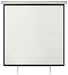 Electronics : Adastra 96" Manual Projector Screen 1:1