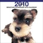 image link - - B002MSIH9E
