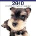 dogs43  - Miniature Schnauzer 2010 Wall Calendar