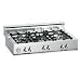 Bertazzoni Professional Series C36500X 36