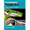 Tagaktive Geckos