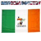 3x5 Guinness Irish Soccer Ireland Football Flag Flags