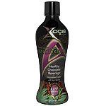 21tHNNjgQmL. SL160  Xocai Activ 4 bottles Antioxidant Drink the Ultimate