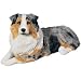 Sandicast Australian Shepherd Original Size Figurine