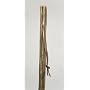 Free Form Ironwood Walking Stick