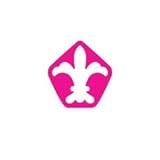 21tKLTf9rhL. SL160 Sizzix big kick Cuttlebug A2 Embossing Folder, Stylized Flowers