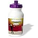 Rich Diesslins Funny Religious Light Cartoons - Mega-Church Special Effects Operator - Water Bottles