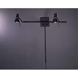 George Kovacs Second Marriage Dual Light Plug-In Wall Lamp