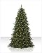 21tKx1KOAlL. SL75  Christmas Tree decorating tips | Christmas Lighting ideas