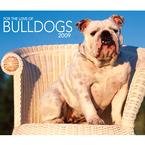 For the Love of Bulldogs 2009 Deluxe Wall Calendar
