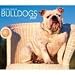 For the Love of Bulldogs 2009 Deluxe Wall Calendar