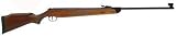 RWS Model 350 .177 Caliber