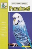 The Guide to Owning a Parakeet (Budgie)