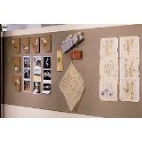 2'x4' Homasote Tac Board - 4/pack