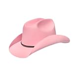 Adult Country Girls Pink Cowboy Stetson Felt Costume Hat by Block Buster Costumes