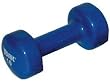 Colored VinylCoated Dumbbells - Pair - 10 lb - Exercise