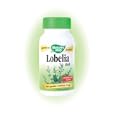 Lobelia Herb 425 mg. 100 Caps
