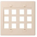 12PORT Ivory Double Gang Faceplate