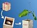 infactory Magic Plant in Holzbox "Mama ist die Beste"