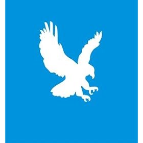 EAGLE STENCIL Snazaroo Face Painting Stencil