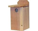 Bluebird House