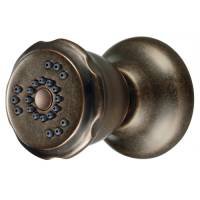 Best Price Danze D460165RBD Two Function Wall Mount Body Spray, Distressed Bronze