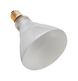 6 each: Westinghouse R40 Floodlight (36815)
