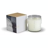 APOTHIA Los Angeles - Plush Candle - B000S94HSO