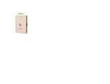 630LCCU-2F-50 2 Line Wall DSL