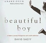Beautiful Boy: A Father's Journey through His Son's Meth Addiction