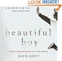 Beautiful Boy: A Father's Journey through His Son's Meth Addiction