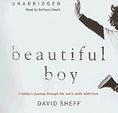 Beautiful Boy: A Father's Journey Through His Son's Crystal Meth Addiction