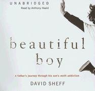 Beautiful Boy: A Father's Journey through His Son's Meth Addiction