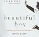 Beautiful Boy: A Father's Journey Through His Son's Crystal Meth Addiction