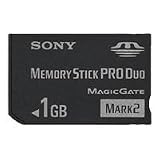 Sony 1 GB Memory Stick PRO Duo Flash Memory Card MSMT1G