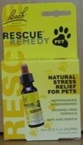 anxiety in dogs