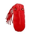 GIANT Microbes - Typhoid Fever (Salmonella typhi) Plush Toy