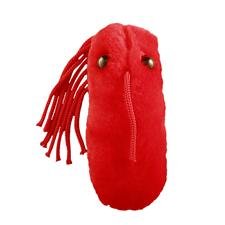 GIANT Microbes - Typhoid Fever (Salmonella typhi) Plush Toy