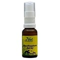 cdVet Naturprodukte 621 Maulhygienespray 50 ml
