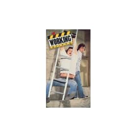 Working Stiffs Volume 1 VHS