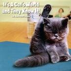 It s a Cat s World 2009 Wall Calendar