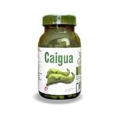 Click here to buy Caigua Powder Supplements (Cyclanthera pedata) - 300 mg - 90 capsules by South Garden.