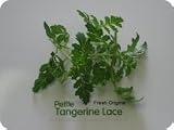 Petite Greens - Tangerine Lace - 4 x 8 oz