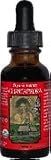 Chanca Piedra (Stone Breaker) Certified Organic