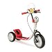 Oko Ergonomic Scooter