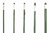Super Steel Stakes, 2 foot