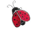 Mini Ladybug (Pak of 3 only)