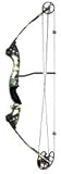 Browning Rage One Bow 25-31 70# RH.
