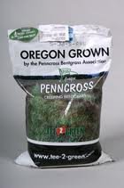 Penncross Creeping Bentgrass- 10# Bulk Seed From The Dirty Gardener Penncross Creeping Bentgrass- 10# Bulk Seed From The Dirty Gardener