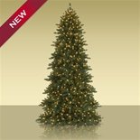 6.5' Berkshire Mountain Fir Unlit Artificial Christmas Tree PLUS eligible for Free Shipping! 6.5' Berkshire Mountain Fir Unlit Artificial Christmas Tree PLUS eligible for Free Shipping!